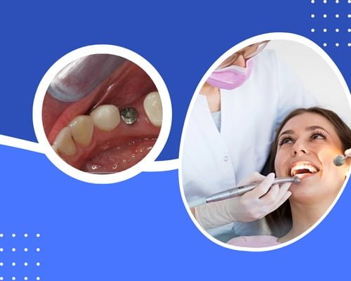 WhatsApp Image 2023-12-09 at 2.50.00 PM (1)